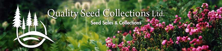 Quality Seed Collections Ltd.